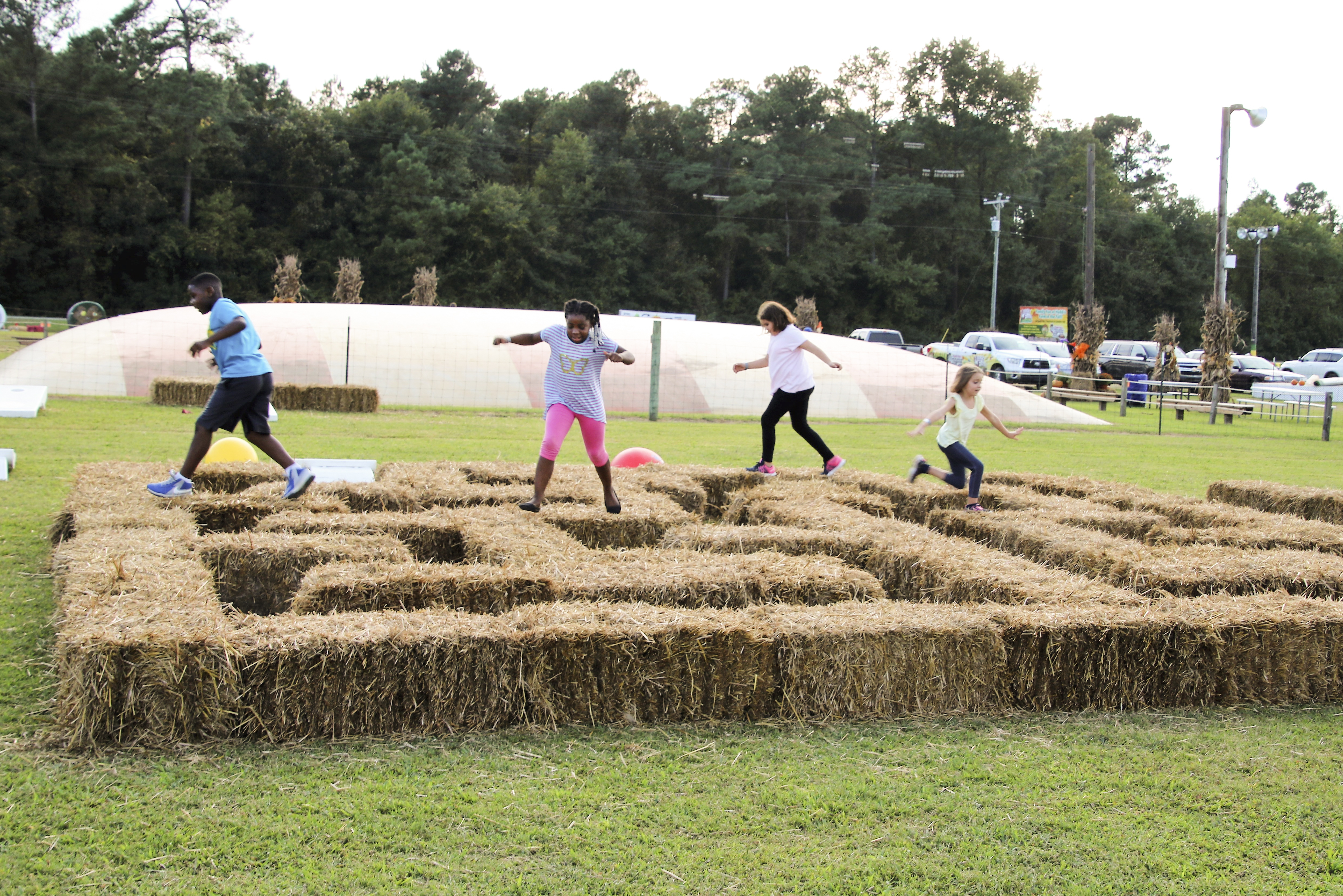 An Afternoon at Hubb’s Farm