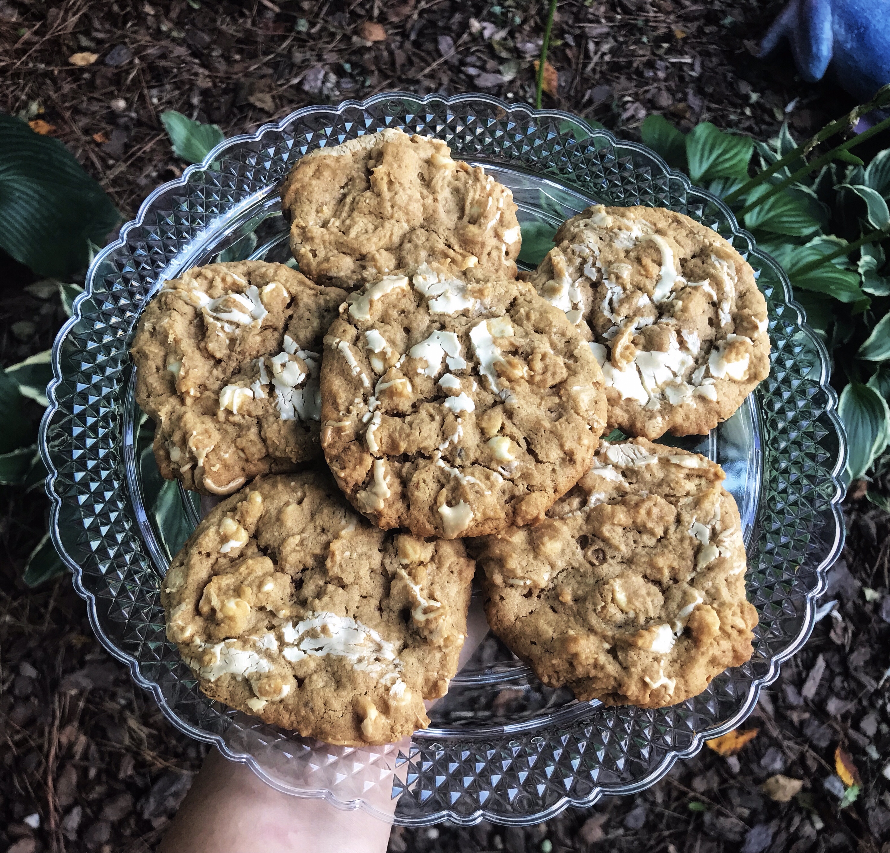 Peanut Butter Double White Chocolate Cookies