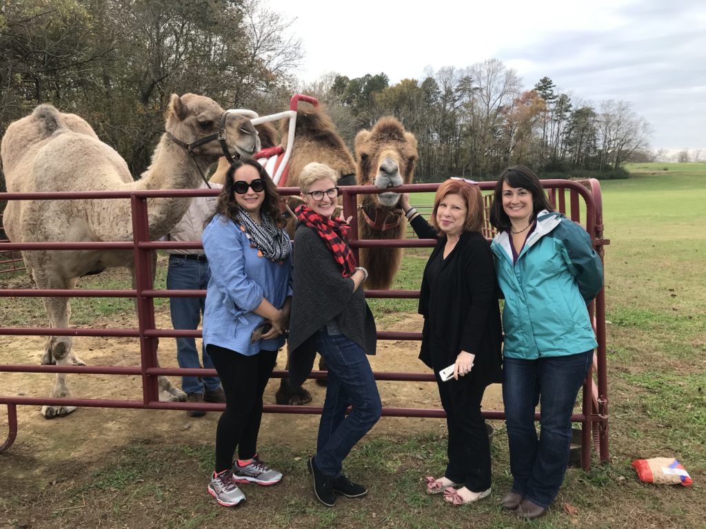 Randolph County travel guide featured by top NC travel blog, Food Diary of a City Girl